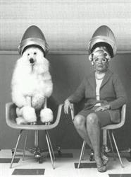 Au Grez du dog, openingstijden