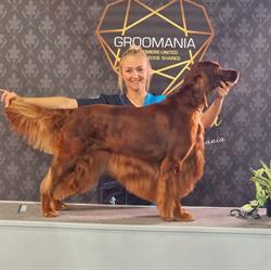 Barking Beauties Hondenkapsalon, Herne openingstijden