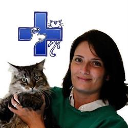 Dr Maud Bodson - Centre vétérinaire Plaine de Cointe, Luik openingstijden