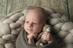 Little Me Fotografie, Denderleeuw openingstijden