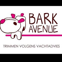 Bark Avenue, Aalst openingstijden