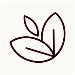 Pura Vida, Londerzeel openingstijden
