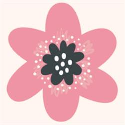 Sweet Camomille, Marche-en-Famenne openingstijden