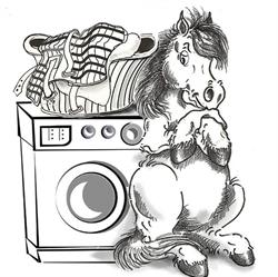 Equiwash, Verviers openingstijden