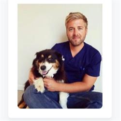 Cabinet Vétérinaire - Sébastien INGELS - Veterinaire du centre de Gistoux, Chaumont-Gistoux openingstijden