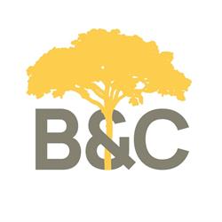 B&C IMMO, Ciney openingstijden