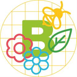 Basisschool Bloeiweide, Brugge openingstijden
