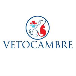 Vetocambre, Brussel openingstijden