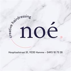 Kapsalon Noé, Hamme openingstijden