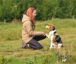 AniLou Dogtraining - Hondentraining & services, Beringen openingstijden