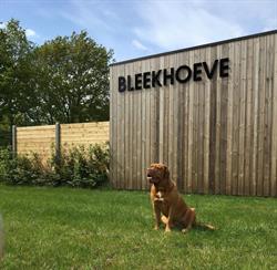 Bleekhoeve, Olen openingstijden