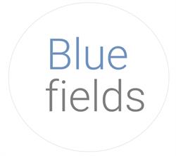 Bluefields, Leuven openingstijden