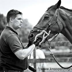 True Blue Physiological Horse Dentistry - PHD, Bocholt openingstijden