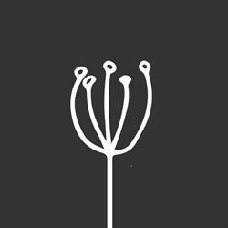 Viva Blooming, Sint-Niklaas openingstijden