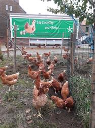 Les cocottes en ribote, Genepiën openingstijden