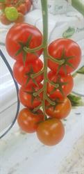 Waterheide BV, Herselt openingstijden
