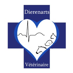 Dierenarts De Clercq Dominique (paard internist specialist - kleine huisdieren algemeen), Liedekerke openingstijden