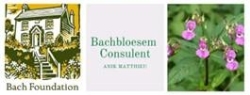 Bachbloesemsconsulent Anik, Antwerpen openingstijden
