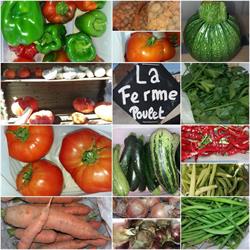 La Ferme Poulet, Arquennes openingstijden