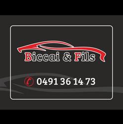 Garage Biccai G & Fils, Haine-Saint-Paul openingstijden