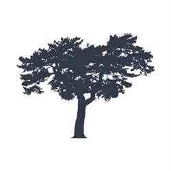 Lieberman en Woods, Sint-Martens-Latem openingstijden