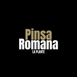 Pinsa Romana La Plante, Namen openingstijden