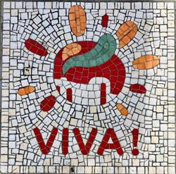 Viva residentie, Jette openingstijden