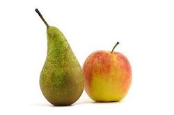 Fruit Myngheer, Zuidschote openingstijden