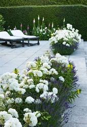 DAVENNE SRL, Spa openingstijden
