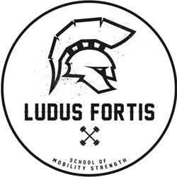 Ludus Fortis - School of Mobility & Strength - Mechelen, openingstijden