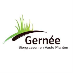 Siergrassen Gernée, Sint-Katelijne-Waver openingstijden