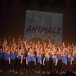 Dance Feeling, Berlaar openingstijden