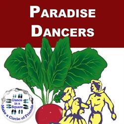 ParadiseDancers Antwerpen, Edegem openingstijden