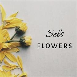 sels flowers, Turnhout openingstijden