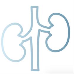 UroLier, openingstijden