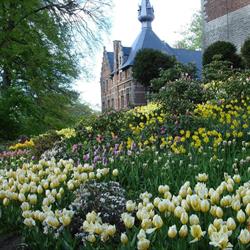 Alkemade Bloembollen - Bulbes à fleurs, Mechelen openingstijden