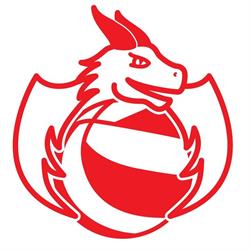 Volleybalclub Dakwerken De Vos Denderhoutem, openingstijden