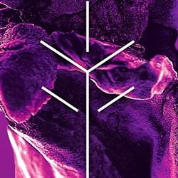 Indietronic fest, Lede openingstijden
