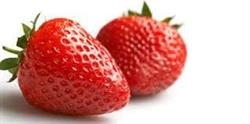 Aardbeienbedrijf Schaubroeck, Meigem openingstijden