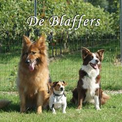 De Blaffers Wijtschate, openingstijden