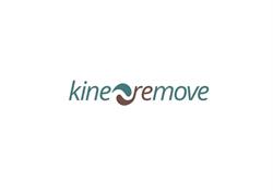 Kine Remove, Waregem openingstijden