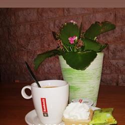 Koffie- en broodjesbar ''Eethoekske'', Sint-Truiden openingstijden