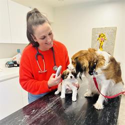 Dierenartspraktijk Ameel, Houthalen-Helchteren openingstijden
