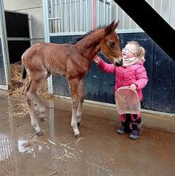 KL Family Ranch Carlo Krier et Séverine Lesenfants, Ferrières openingstijden