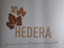 Hedera - Centrum voor psychische revalidatie, Ieper openingstijden
