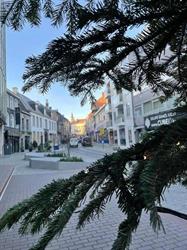 Molenstraat in Aalst, openingstijden