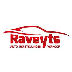Garage Raveyts, Gooik openingstijden