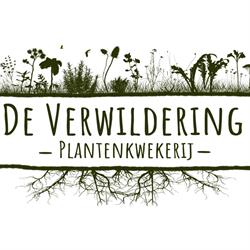 De Verwildering, Vinderhoute openingstijden