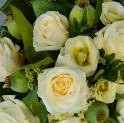 Bloemenhal Steve, Antwerpen openingstijden