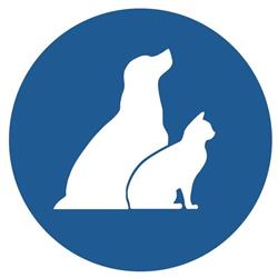 Dierenasiel Gent, openingstijden